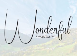 Wonderful Font preview image 1
