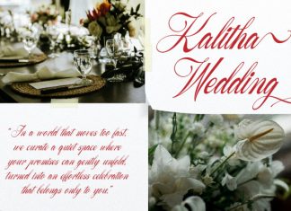 Yureika Glasious Classic Elegant Script Font preview image 2