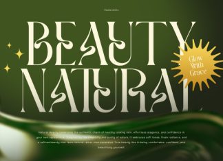 Zentura – Modern Luxury Serif Font preview image 3