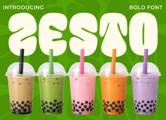 Zesto Bold Display Font preview image 1