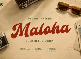 Maloha Font preview image 1