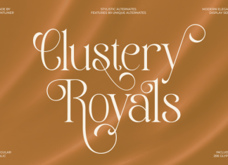 Clustery Royals Font preview image 1