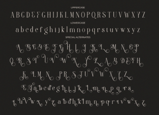 Clustery Royals Font preview image 3