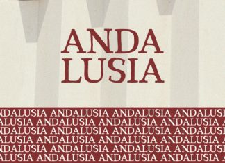 Red Carpet – Serif Font preview image 2