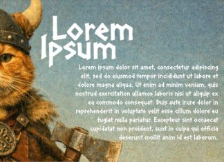 AAKSARAAN NORDVIK Font preview image 3