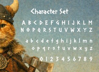 AAKSARAAN NORDVIK Font preview image 2