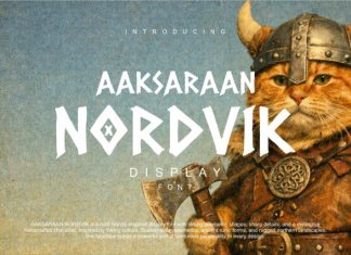 AAKSARAAN NORDVIK Font preview image 1