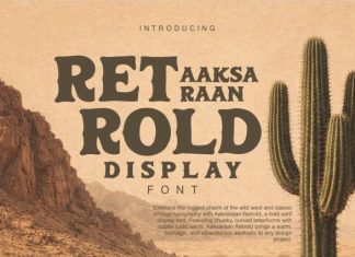 AAKSARAAN RETROLD Font preview image 1