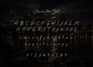 Aaksaraan Adelisse Font preview image 3