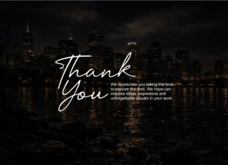 Aaksaraan Adelisse Font preview image 2