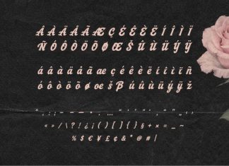 Aaksaraan Glorenia Font preview image 3