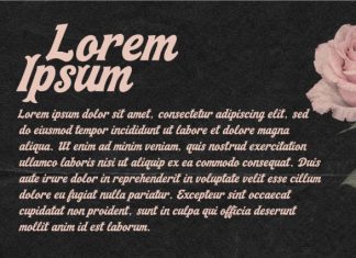 Aaksaraan Glorenia Font preview image 2