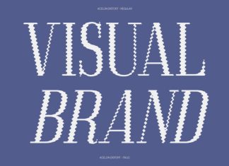 Acelon Distort Font preview image 3