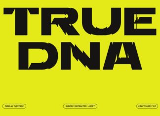 Aldercy Refracted Font preview image 2