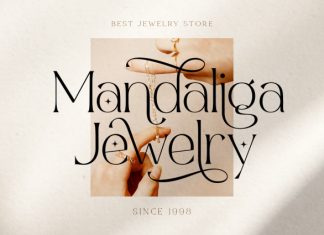 Angelic Bright – Modern Serif Font preview image 3