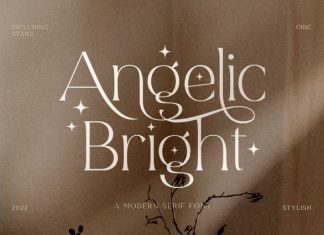 Angelic Bright – Modern Serif Font preview image 1