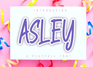Asley a Playfull Font preview image 1