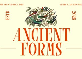 BLURE – High Contrast Editorial Serif Font preview image 3