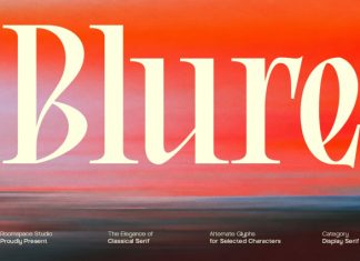BLURE – High Contrast Editorial Serif Font preview image 1