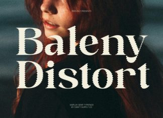 Baleny Serif Distort Font preview image 1