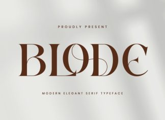 Blode – Elegant Serif Font preview image 1