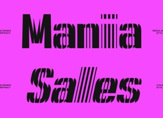 Blonden Refracted Font preview image 3