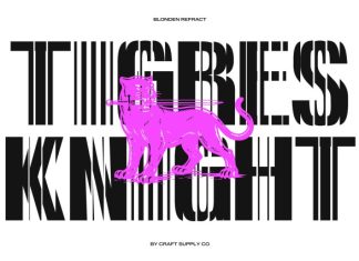 Blonden Refracted Font preview image 2