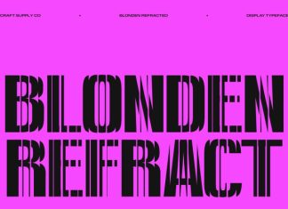 Blonden Refracted Font preview image 1