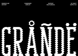 Bondie Slab Distort Font preview image 2