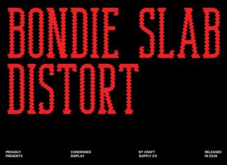 Bondie Slab Distort Font preview image 1
