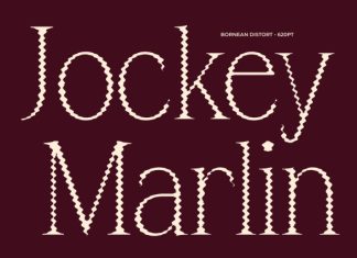 Bornean Distort Font preview image 2