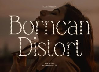 Bornean Distort Font preview image 1