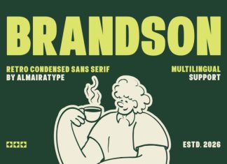 Brandson Font preview image 1