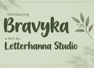 Bravyka Font preview image 1
