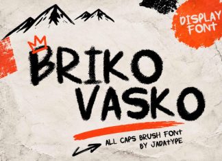 Briko Vasko – Bold Handwritten Brush Font preview image 1