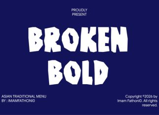 Broken Bold Font preview image 1