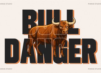 Bullsheet – Bold Condensed Sans Font preview image 2