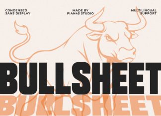 Bullsheet – Bold Condensed Sans Font preview image 1