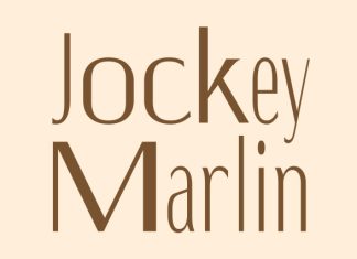 CS Anzelia Mix Font preview image 3