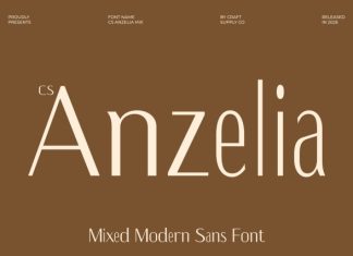 CS Anzelia Mix Font preview image 1