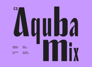 CS Aquba Mix Font preview image 1