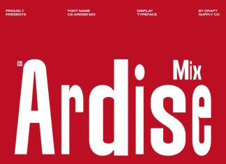 CS Ardise Mix Font preview image 1