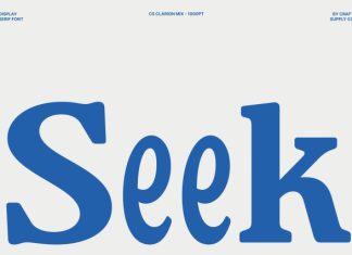 CS Clarion Mix Font preview image 2