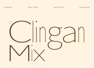 CS Clingan Mix Font preview image 1