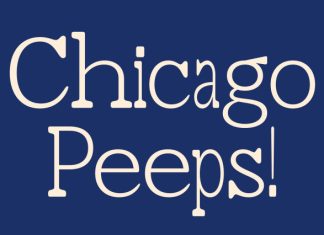 CS Collagen Mix Font preview image 3