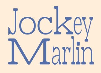 CS Collagen Mix Font preview image 2