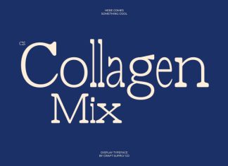 CS Collagen Mix Font preview image 1