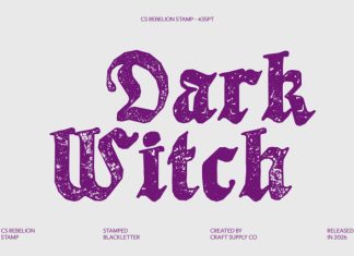 CS Rebelion Stamp Font preview image 2