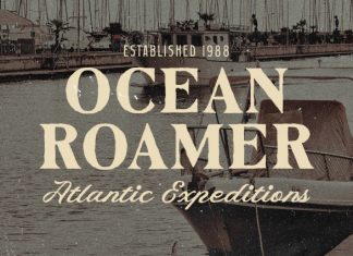 Carvent Neutral Vintage Font preview image 2