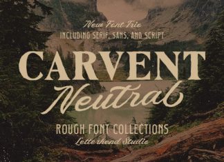 Carvent Neutral Vintage Font preview image 1